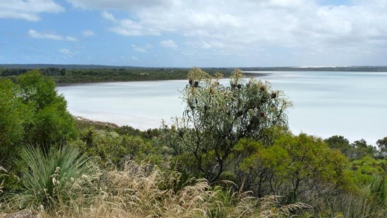 Pink Lake bei Esperance